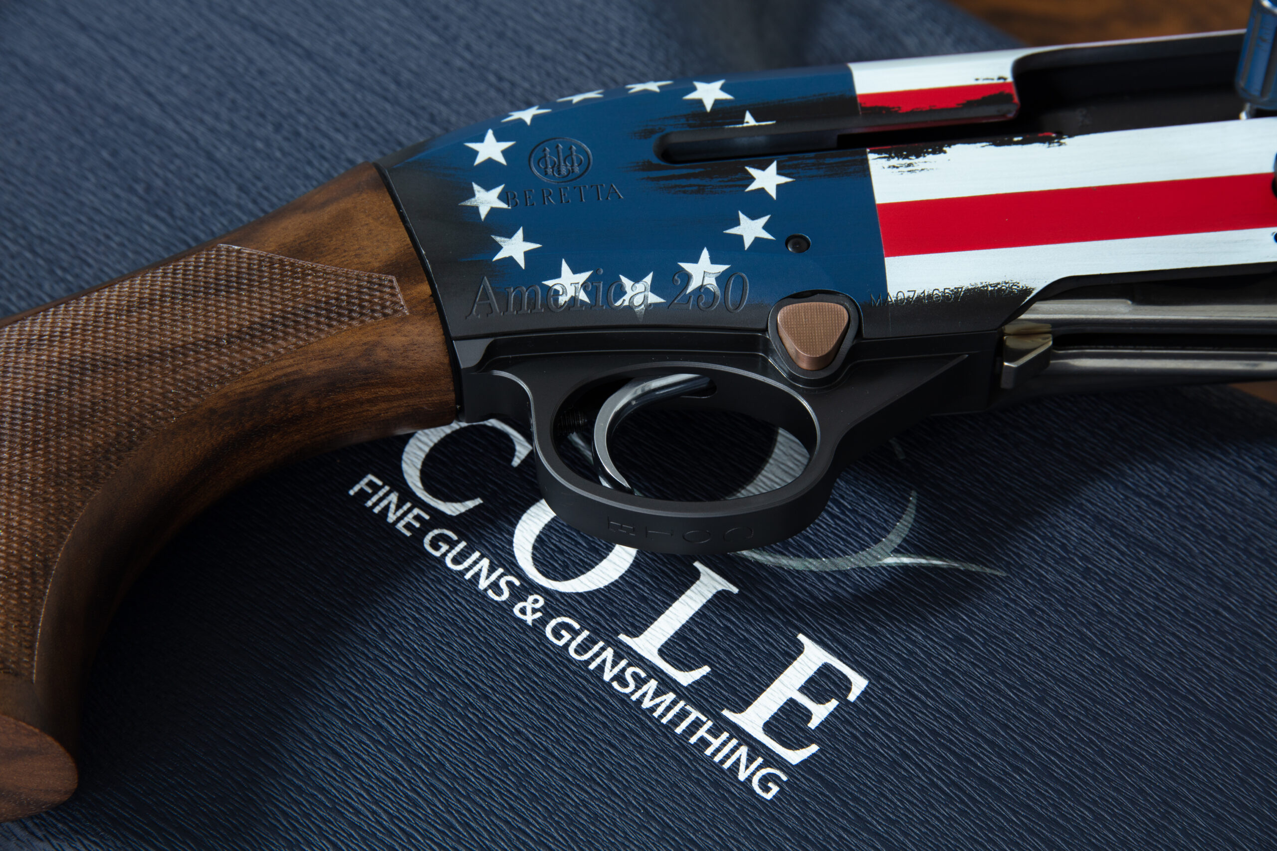 Cole Pro 250 patriotic detail artwork